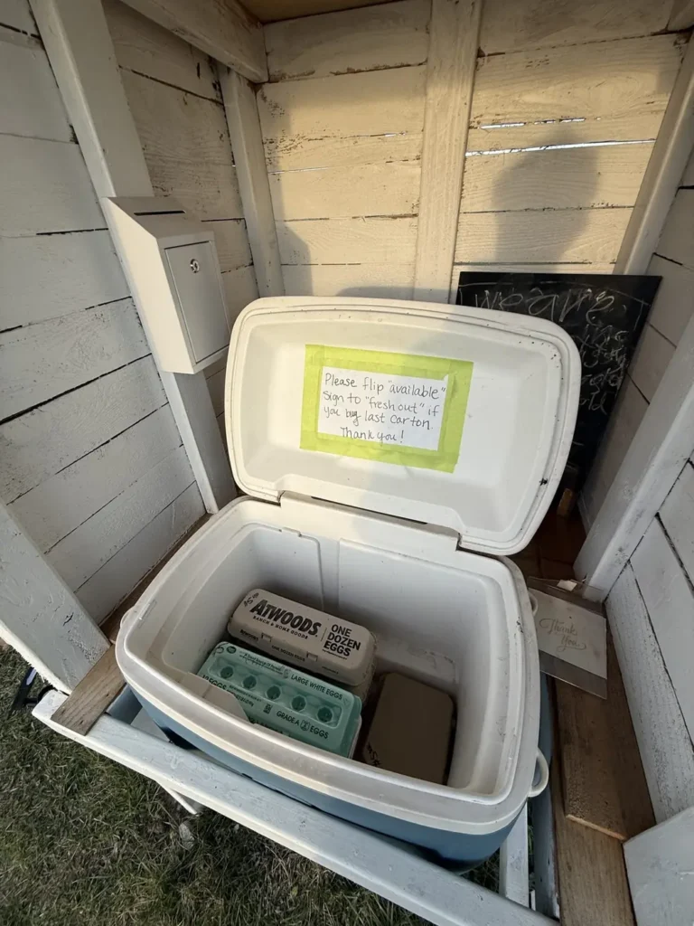 Inside the honor-system egg stand: a cooler of egg cartons and the payment box.