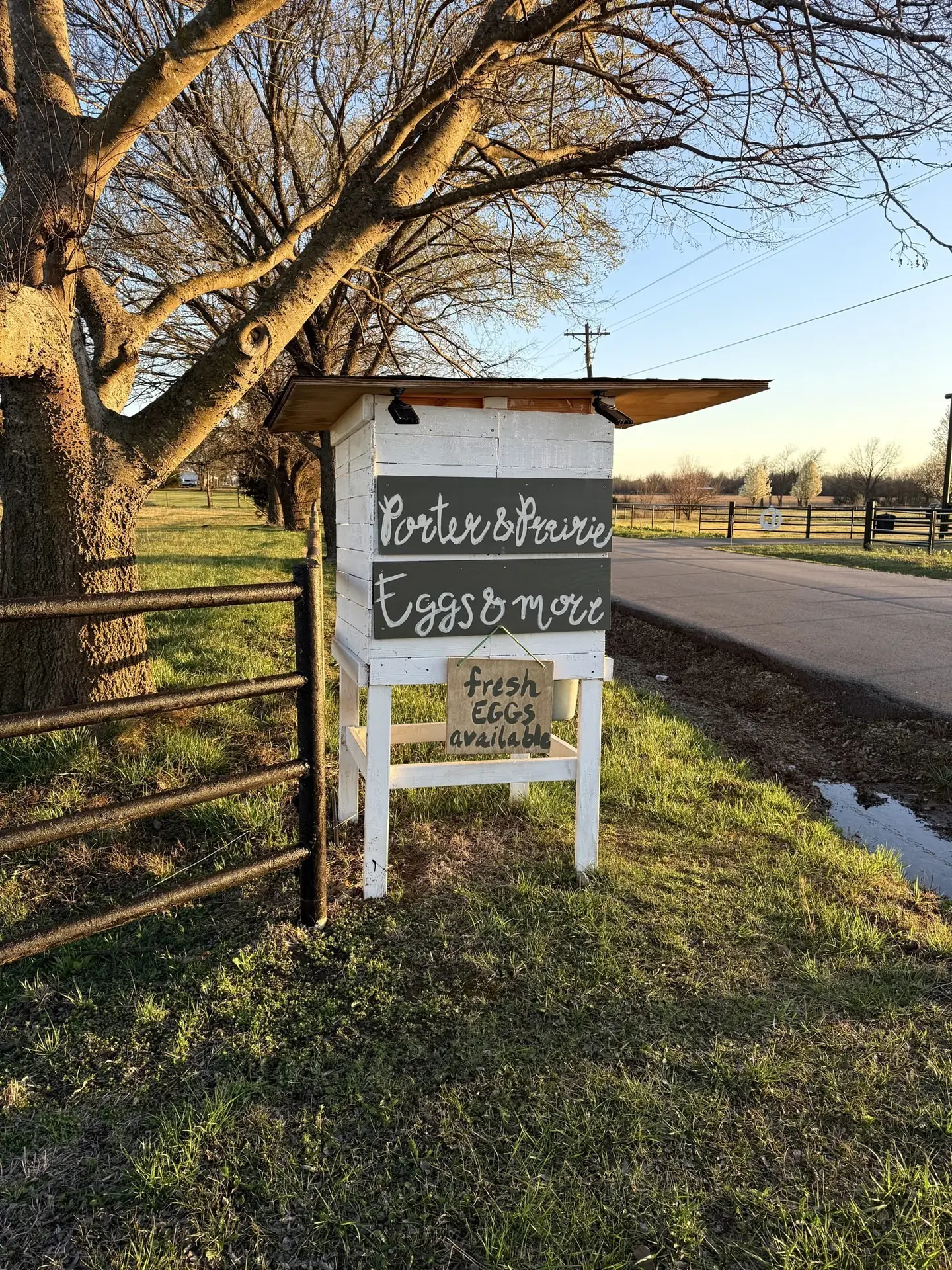 The Porter & Prairie egg stand under a tree by the road in golden evening light.