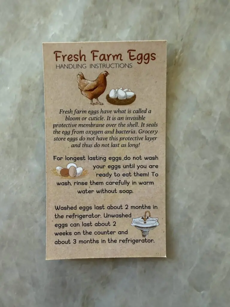 Fresh Farm Eggs handling instructions card tucked into every carton at our farm fresh eggs stand in Porter, OK