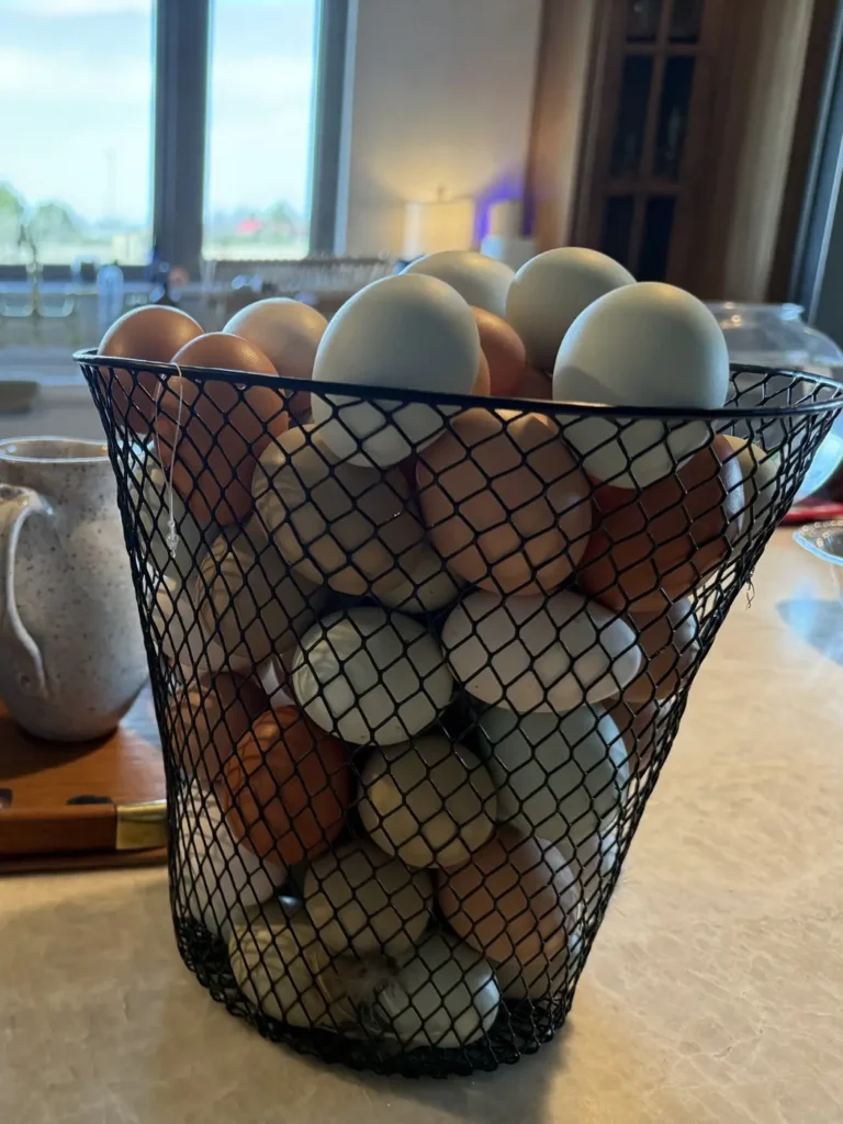 A wire basket heaped with fresh farm eggs by the kitchen window at Porter & Prairie